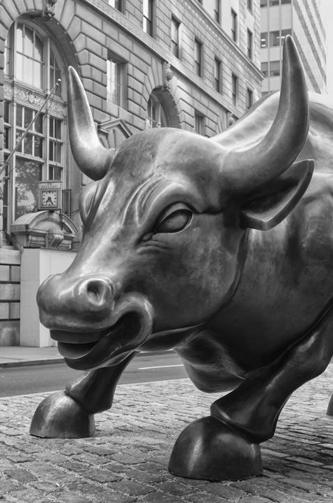 Photograph of Bull Wall Street 3