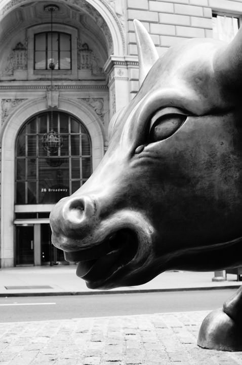Photograph of Bull Wall Street 4