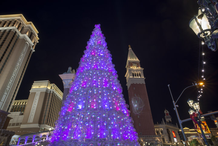 Photograph of Christmas Las Vegas