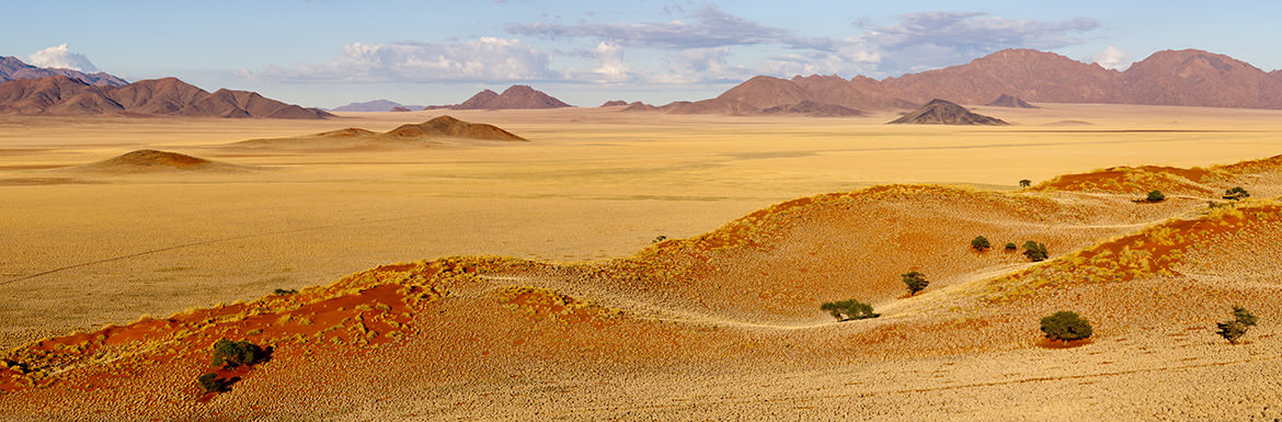 Desert Panorama Namibia - Africa