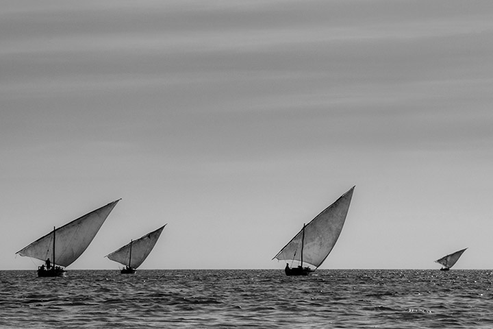 Photograph of Dhows 4