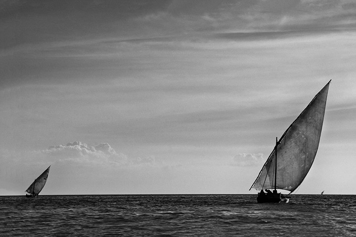 Photograph of Dhows