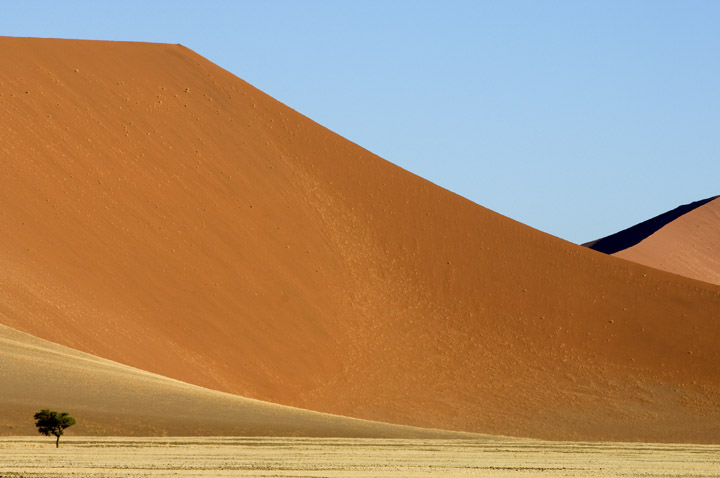 Dwarfed by the Dunes Namibia - Africa