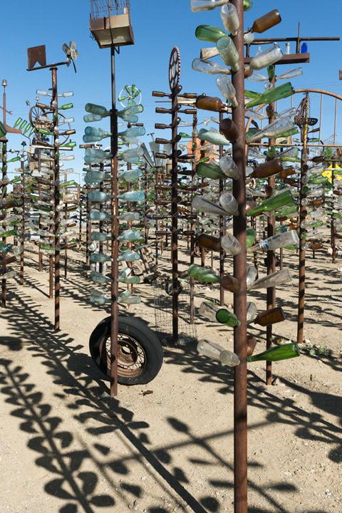 Photograph of Elmers Bottle Tree Ranch