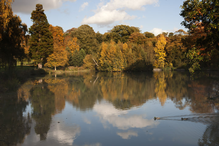 Photograph of Hampstead Heath in Autumn 2