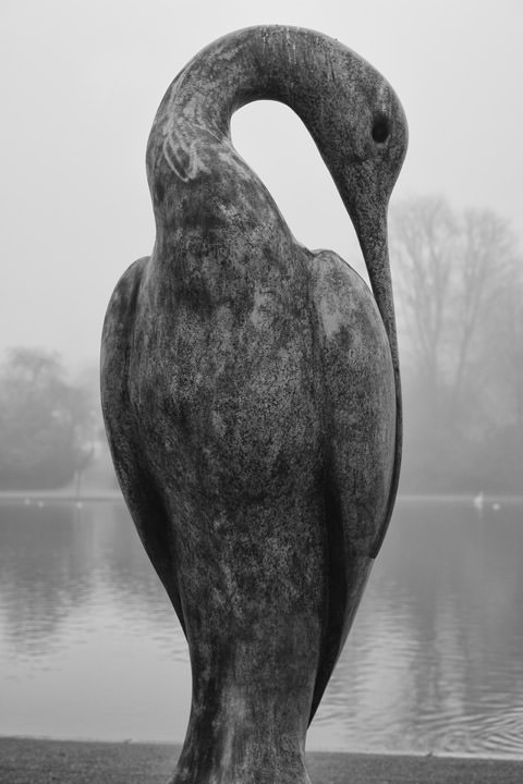 Photograph of Ibis Statue Hyde Park