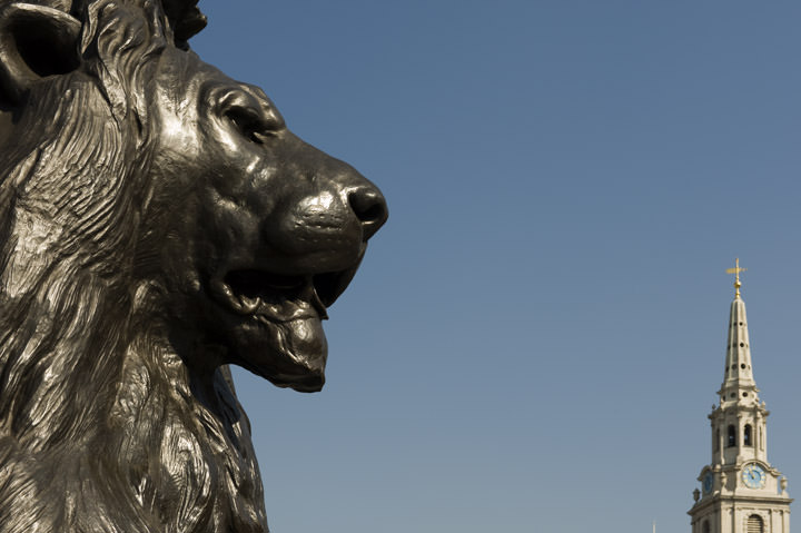 Photograph of Lion - Trafalgar Square