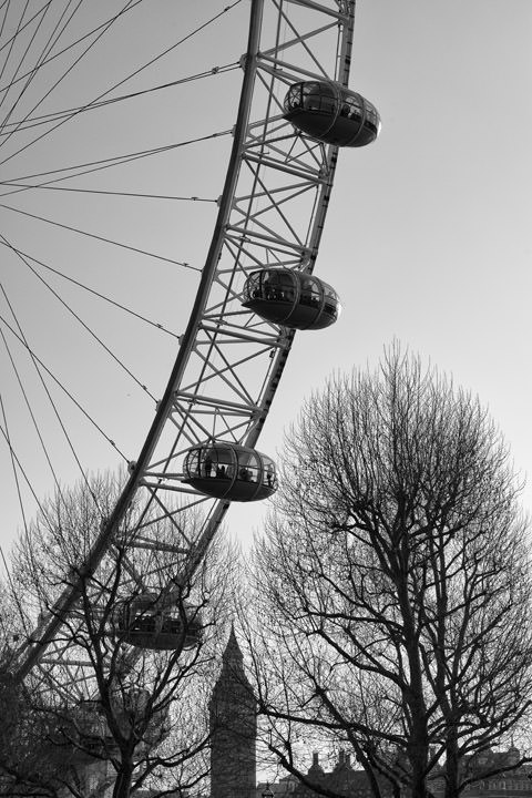 Photograph of London Eye and Big Ben