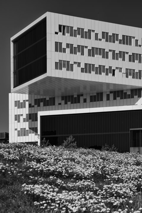 Photograph of Modern Architecture 2 Oslo