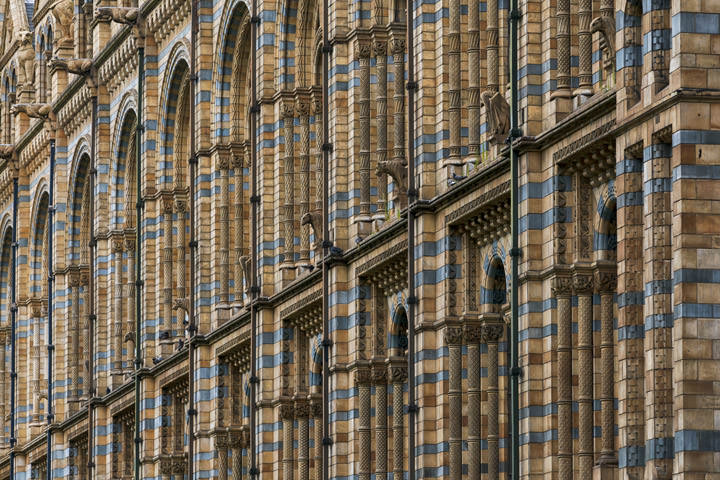 Photograph of Natural History Museum 1