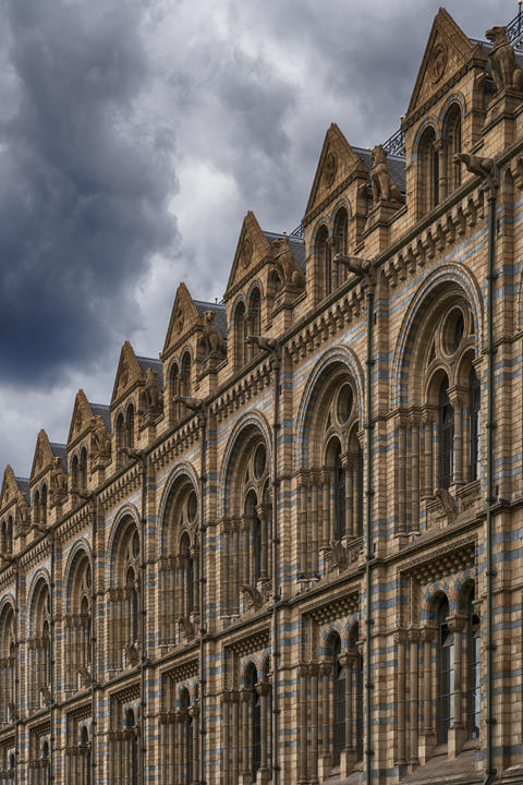 Photograph of Natural History Museum 3