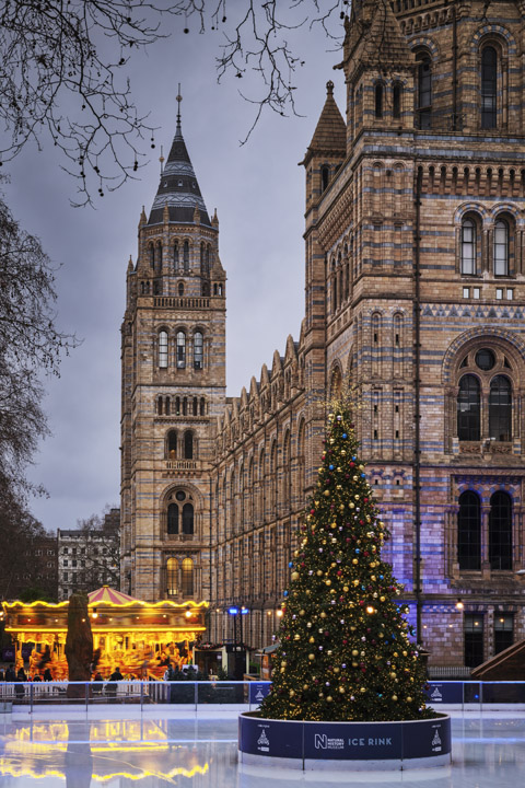 Photograph of Natural History Museum Christmas 1