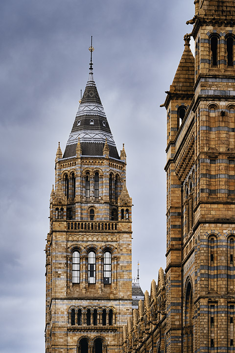 Ornate Tower of Natural History Museum 6