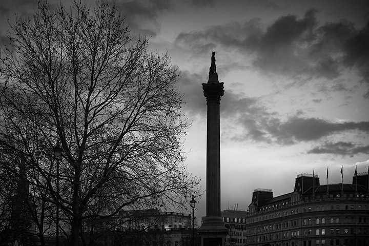 Photograph of Nelsons Column at Dusk 1