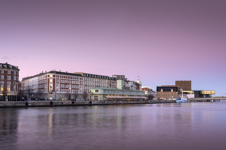 Photograph of Pink Copenhagen