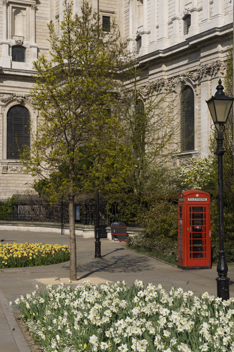 Photograph of Springtime in London