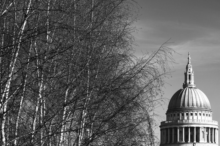 St Pauls Cathedral in black and white with winter trees