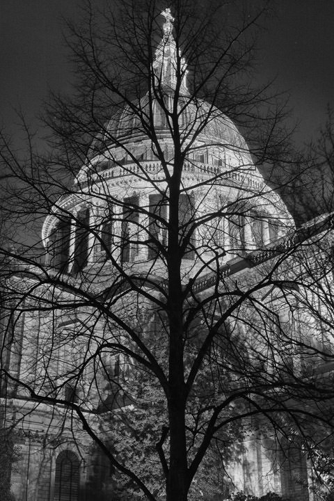 St Pauls Cathedral and bare tree in winter in black and white