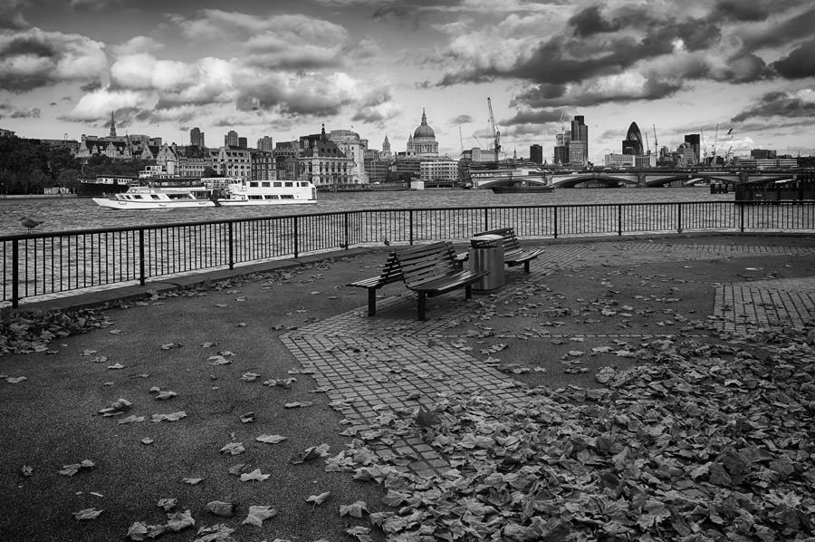 St Pauls Cathedral Autumn leaves from south bank in black and white