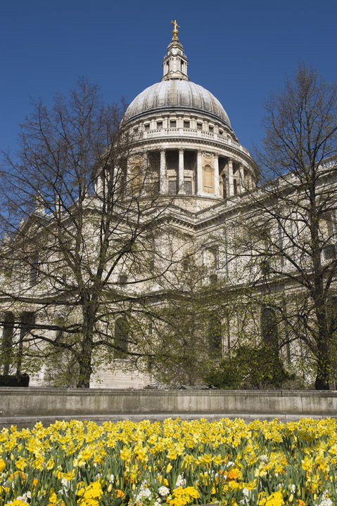 Photograph of St Pauls Cathedral
