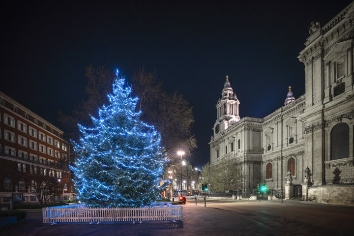 Christmas Tree at St Pauls Cathedral in London