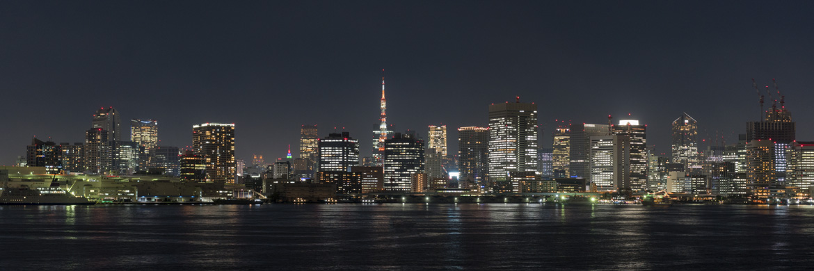 Photograph of Tokyo Skyline 7
