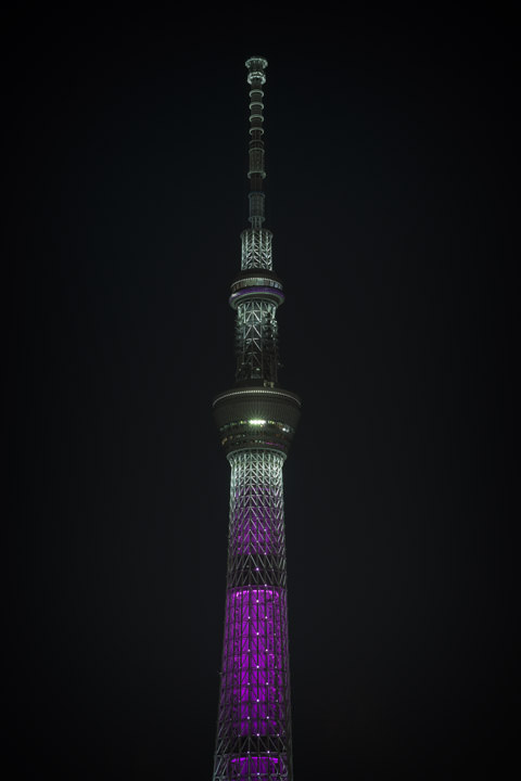Photograph of Tokyo Skytree 7