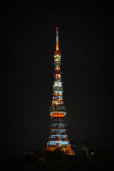Photograph of Tokyo Tower 1