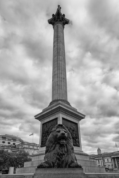 Photograph of Trafalgar Square 4