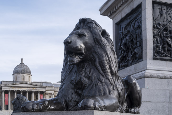 Trafalgar Square Lion 3