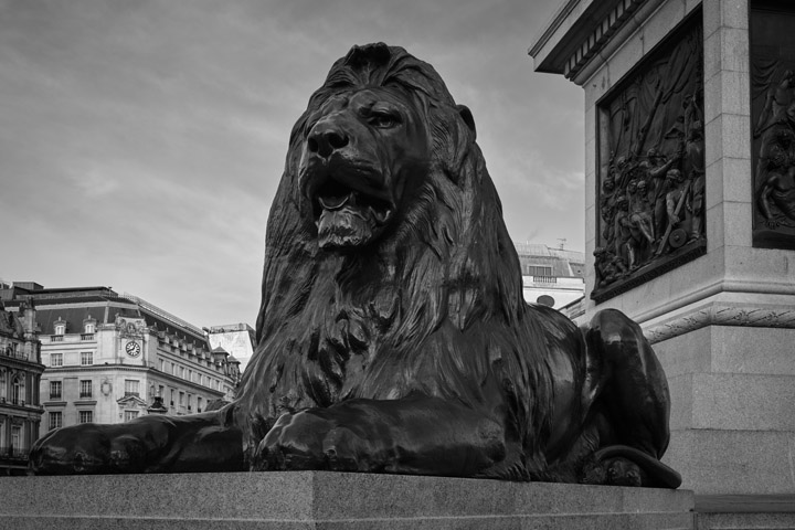 Photograph of Trafalgar Square Lion 4
