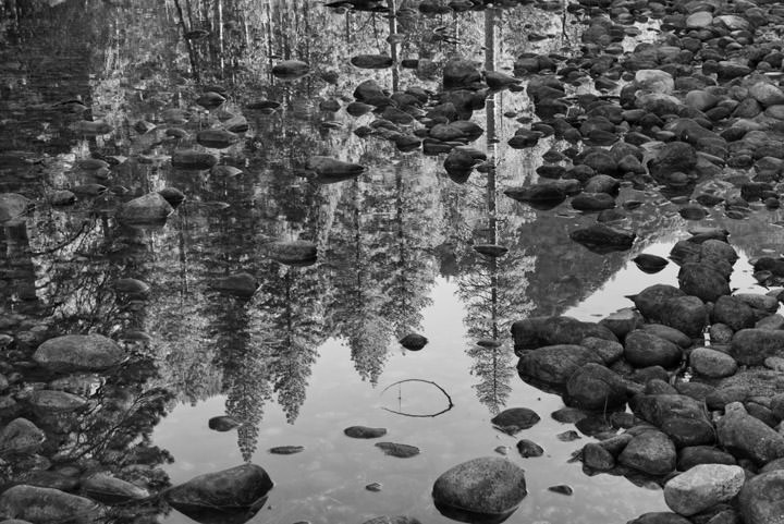 Photograph of Yosemite Reflections 